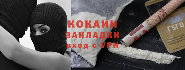 гидра Белокуриха
