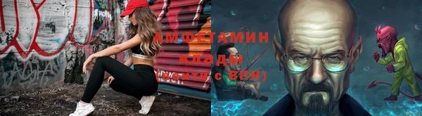 стафф Богданович
