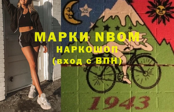 гидра Белокуриха