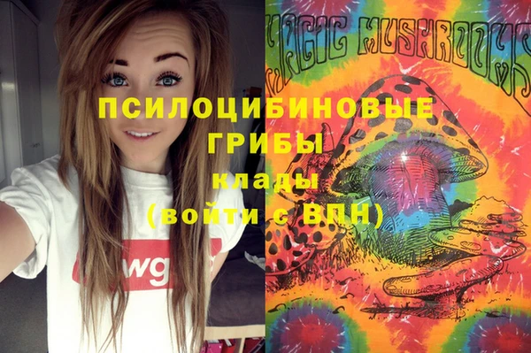 COCAINE Богородицк