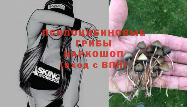 крисы Богородск
